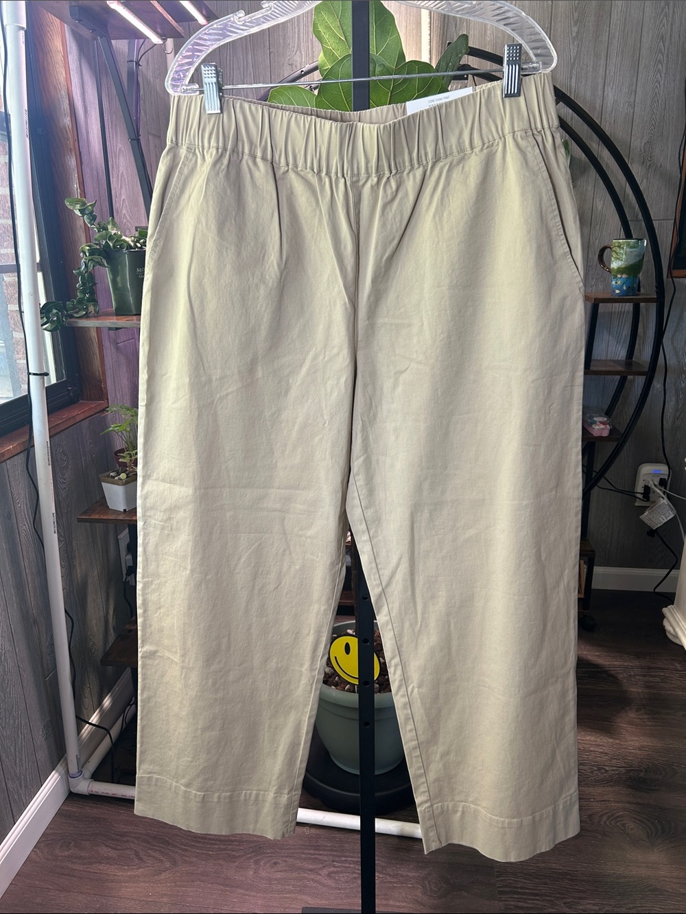 New On 34th Pants